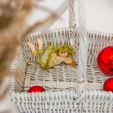 Cozy And Modern * קסטב